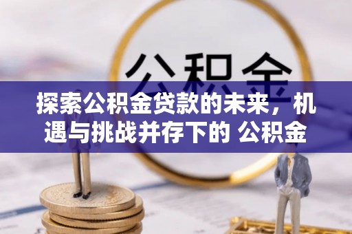桂阳探索公积金贷款的未来，机遇与挑战并存下的 公积金贷款风险防控