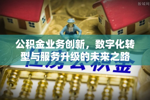 桂阳公积金业务创新，数字化转型与服务升级的未来之路