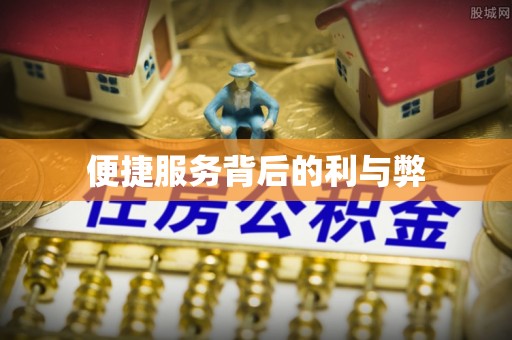 桂阳便捷服务背后的利与弊