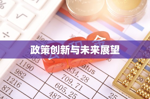 桂阳政策创新与未来展望